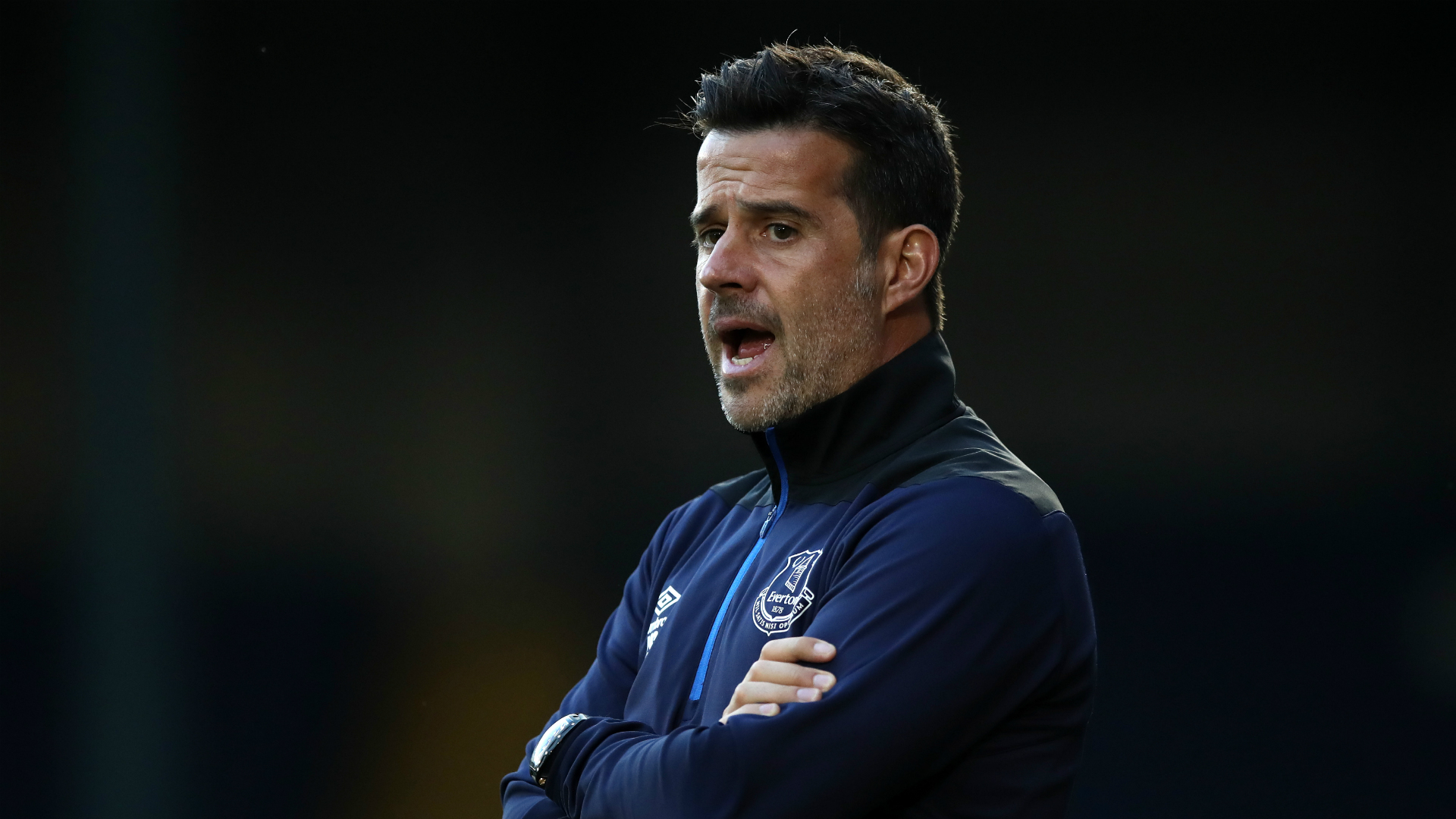 金色条纹设 金色条纹设